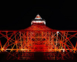 東京 セミ 鳴き始め 夜 減少